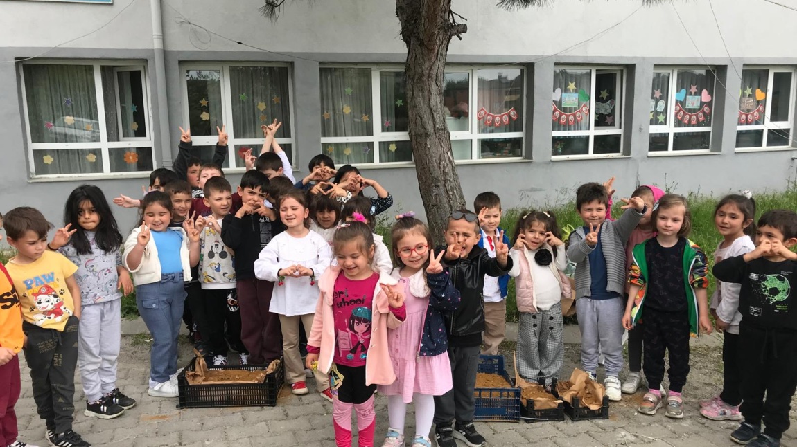 ANASINIFLARI KOMPOST ÇALIŞMASI