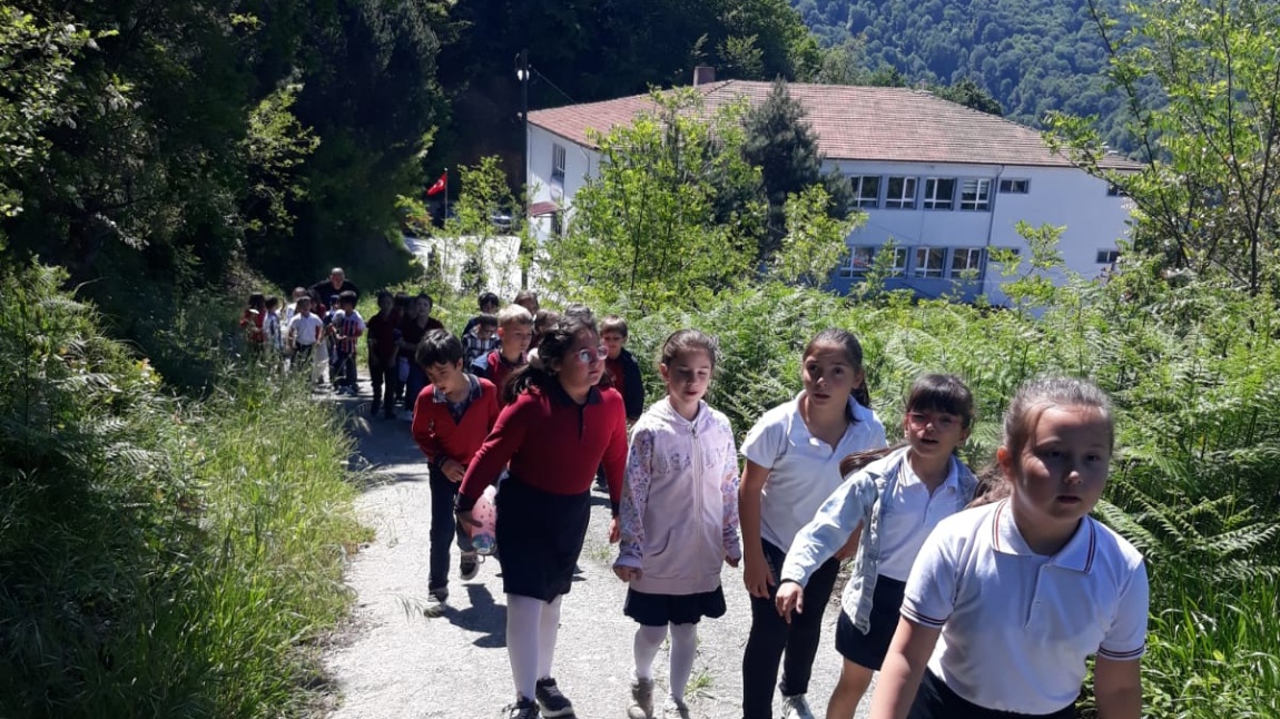 DOĞA YÜRÜYÜŞÜ
